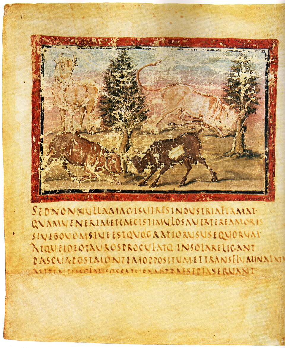 Digitale Sammlung