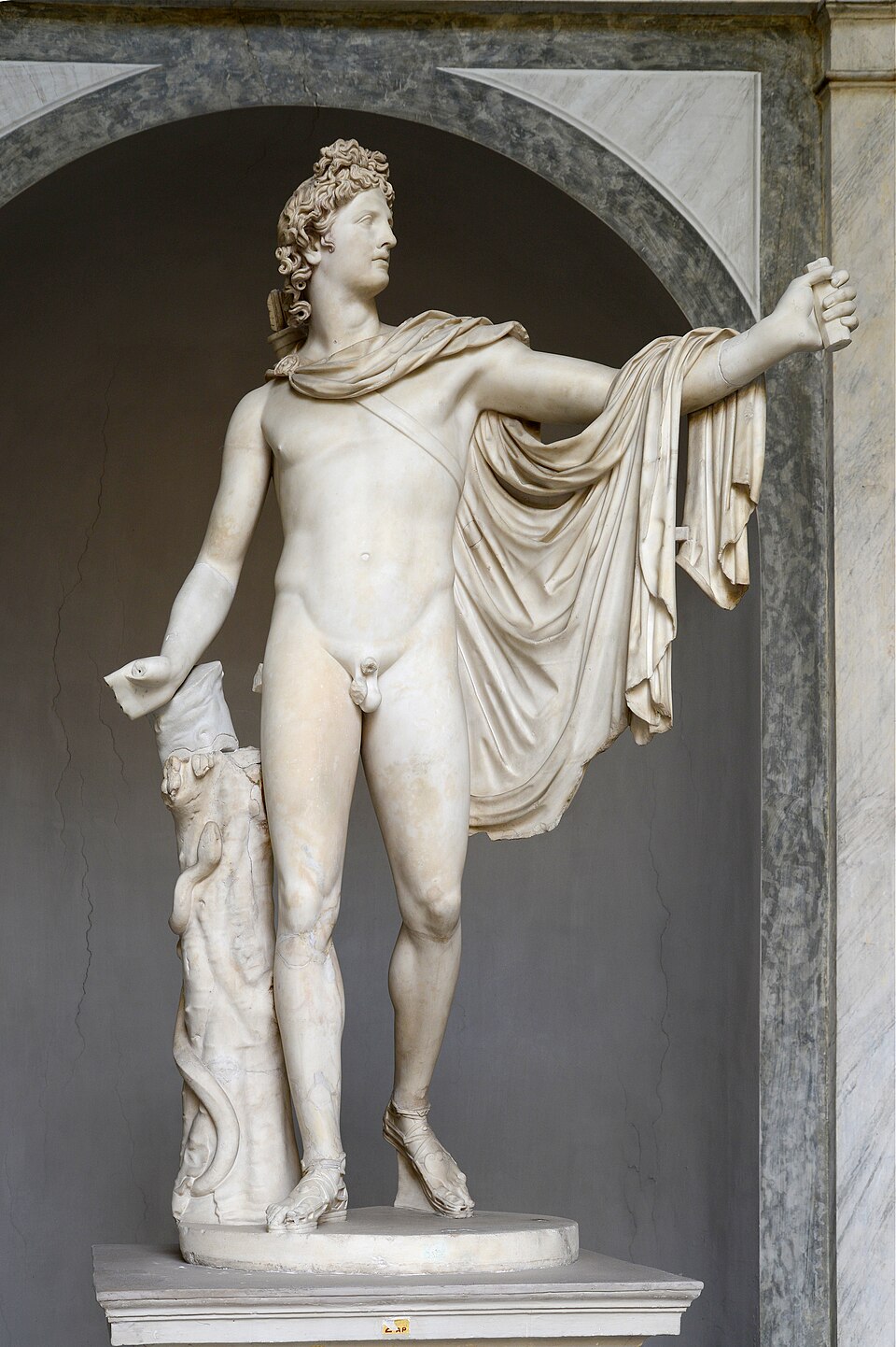 Apollo von Belvedere